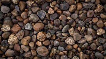 Assorted river rocks and pebbles photo