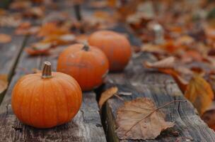Autumn pumpkins and leaves on rustic wooden background photo