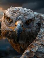 Fierce raptor with intense gaze photo