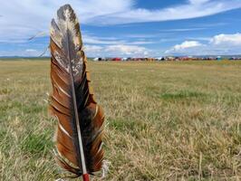 Feather in a field with tents photo