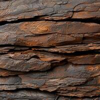 Textured rock surface with natural patterns photo
