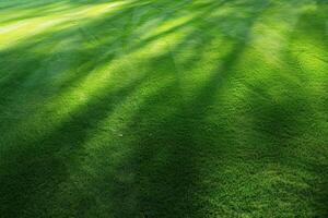 Lush green grass field with sunlight rays photo