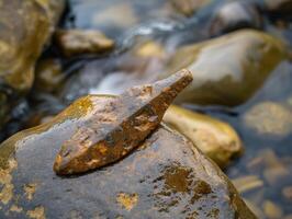 Closeup of a weathered rock with a unique shape photo