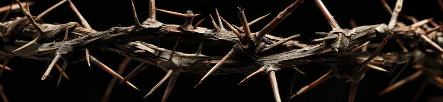 Thorny crown of thorns photo