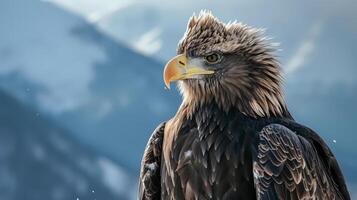 Majestic bald eagle with piercing gaze photo