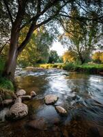 Serene autumn river landscape with lush foliage photo