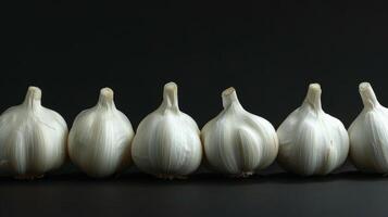 row of fresh white garlic bulbs on black background photo