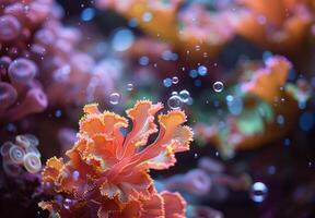 Vibrant underwater coral reef scene with colorful marine life photo