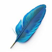 Vibrant blue feather against a white background photo