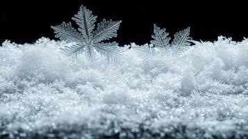 Intricate snowflakes in a winter wonderland photo