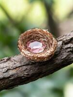 Sparkling diamond in a nest on a tree branch photo