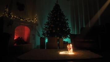First Christmas Present On White Carpet In Front Of The Tree At Night video