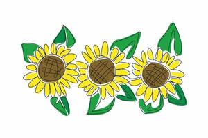 Single continuous line drawing some sunflowers with their leaves. Growing in bloom. Summer with beautiful plants to behold. Good source of antioxidants. Kansas Day. One line design illustration vector