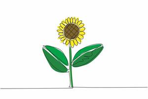 Single one line drawing a stalk of sunflower. Growing strong, fresh and giving joy from its color. The leaves are useful as a wound healer. Kansas Day. Continuous line design graphic illustration vector