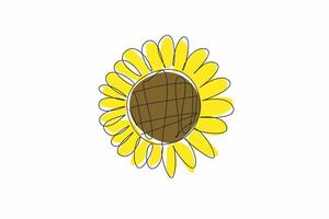 Continuous one line drawing sunflower seen close up. Details and patterns are visible. Flower symbol of loyalty. Flower of spiritual guidance. Kansas Day. Single line draw design illustration vector