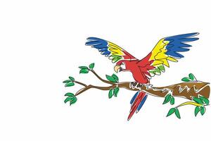 Single continuous line drawing of adorable parrot bird perched at tree branch in the local bird conservation. Macaw bird ready to fly from twigs. National Bird Day. illustration artwork vector