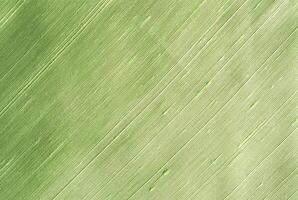 Green Fabric Close-Up with Fine Weave and Diagonal Stripes photo