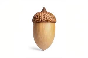 Realistic acorn illustration with a textured cap on a white background. Autumn nature concept for design and print photo