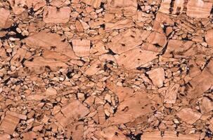 Natural Earthy Textures. A Landscape of Brown Wood, Brick, and Rock Patterns photo