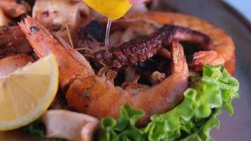 shrimp octopus pour lemon over seafood female cook in a black glove pours freshly squeezed lemon juice over salmon steaks that are fried on a charcoal grill video