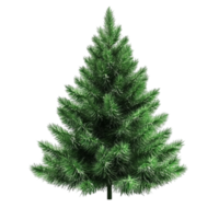 Festive Christmas Tree with Transparent Background png