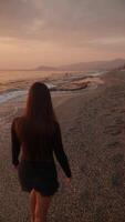Enjoy a serene and peaceful beach walk at sunset for a perfect relaxing experience video