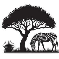 silhouette of zebra under tree in field of savannah vector