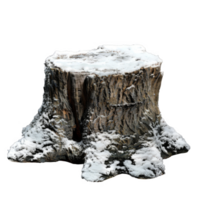 A Snow-Covered Tree Stump Isolated on a Black Background png