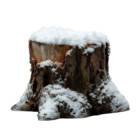 A snow-covered tree stump with a dark background png