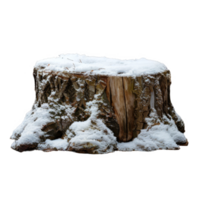 A Snow-Covered Tree Stump Isolated on a Black Background png