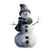 Frosty Snowman with Hat and Scarf in Winter png