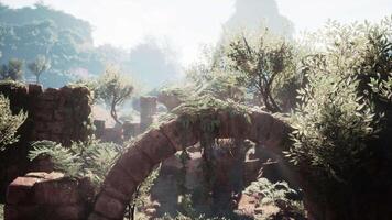 Ancient stone archway surrounded by lush greenery in a mystical forest setting video