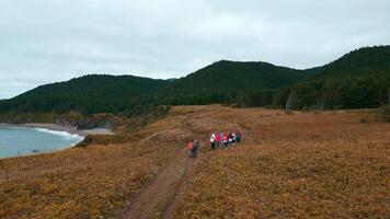 Top view of tourists walking along mountain coast trail. Clip. Hikers walk along mountain coast road on cloudy day. Tourists walk along northern mountain coast on background of sea and forests video