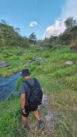 A male adventurer is trying to cross a small river which is very clear and beautiful because it is surrounded by green grass. Footage of a man crossing a river with a beautiful view video