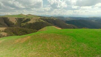 Top view of hills with green grass and sparse forest. Shot. Beautiful landscape with panorama of mountain hills and green grass on sunny summer day. Hills with green grass and sparse forest on video