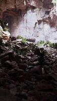 View from inside a dark cave with green plants and light on the exit video
