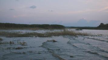 Sunset over the lake with small waves. Beautiful view of a river and forest. video