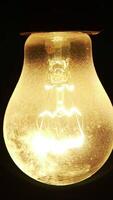 The Glowing Light Bulb Radiantly Illuminating the Surrounding Darkness with Warmth and Style. Stock Clip video