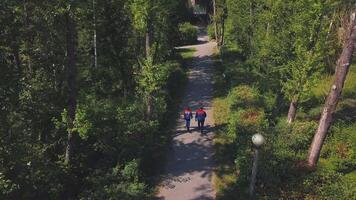 Uniformed workers walking in woods. Workers in uniform go to cut wood on sunny summer day. Top view of two workers walking along forest road video