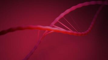 Moving 3d dna structure. Design. 3D dna chain moving in electronic space. Close-up animation of moving dna spirals in computer space video