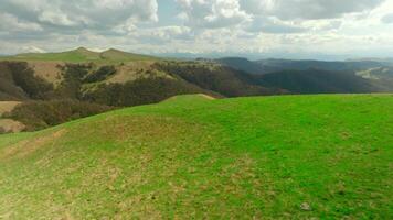 Top view of hills with green grass and sparse forest. Shot. Beautiful landscape with panorama of mountain hills and green grass on sunny summer day. Hills with green grass and sparse forest on video