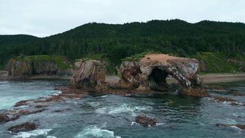 Top view of seagulls flying near rocky cliff on coast. Clip. Northern coast with rocks and seagulls on background of green mountains on cloudy day. Beautiful coast with through erosion of sea rocks video