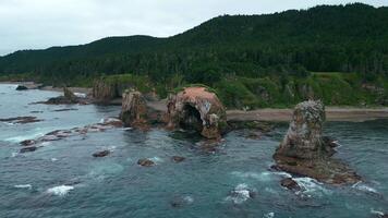 Top view of seagulls flying near rocky cliff on coast. Clip. Northern coast with rocks and seagulls on background of green mountains on cloudy day. Beautiful coast with through erosion of sea rocks video