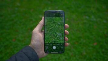 China, Beijing - September 15, 2023. iPhone 15 Pro screen shooting grass. Action. Close-up of phone display taking pictures of nature. Clear image on screen of shooting phone video