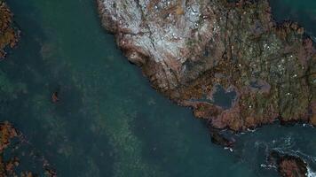 Top view of flying seagulls on rocky coast. Clip. Magnificent rocks and reefs with flying seagulls in sea. Seascape of northern coast with seagulls and rocks video