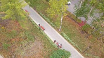 Man resting on bench in park by road. Clip. Top view of park alley with benches and vacationing people. Autumn park path with benches by roadway video