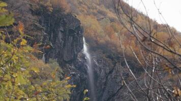 Waterfall surrounded by autumn trees and colorful vegetation. National park, mountain slope and water stream. video