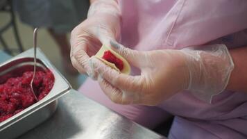 Handmade dumplings at manufacturing. Close up of worker making dumplings, putting meat into dough. video