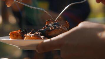Man holding plate with chicken pieces. Stock footage. Close-up of grilled chicken pieces is placed on plate. Grilled chicken cooked on barbecue in forest on sunny summer day video