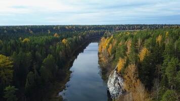 un sereno y pintoresco otoño paisaje presentando un calma río fluido mediante un lozano bosque. valores acortar video